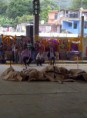 /album/dia-de-muertos-xantolo-/chapulhuacan-20111028-00335-jpg/
